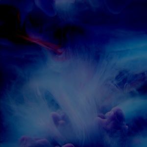 Meet your Posher, Chase